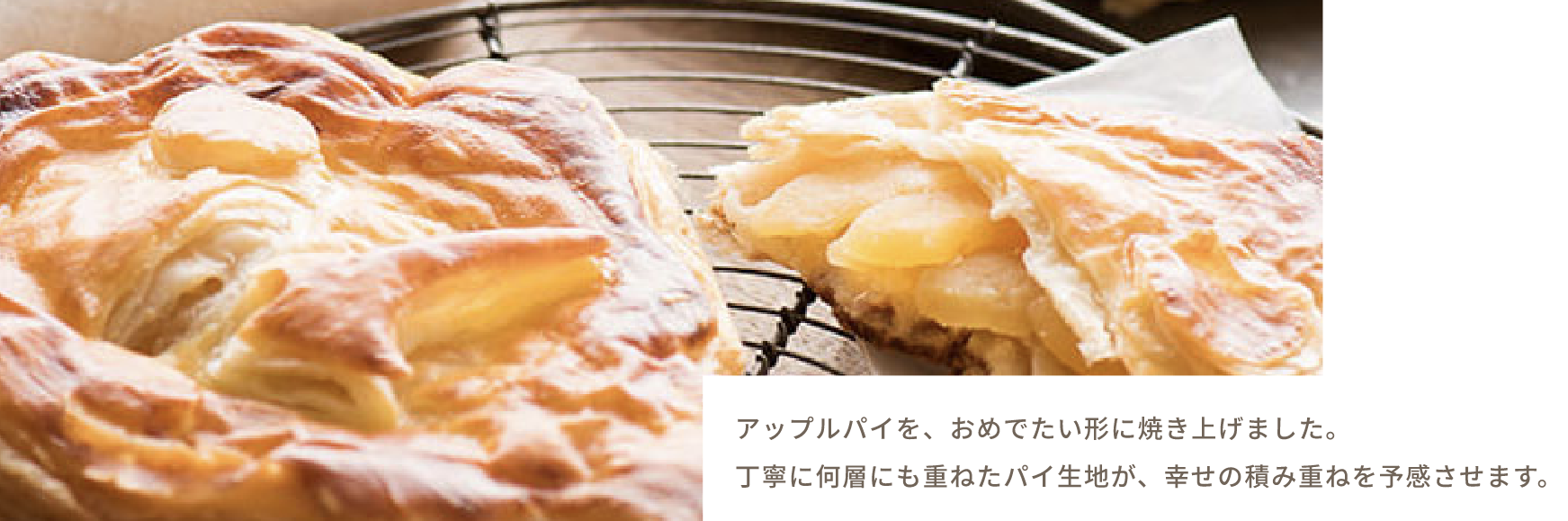 パイコレクション